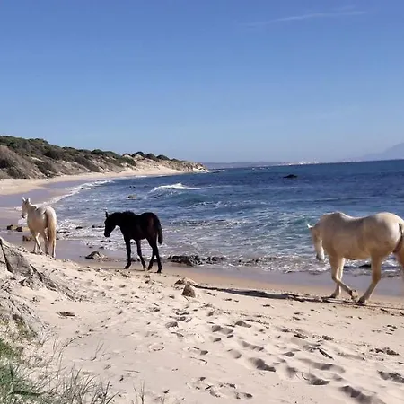 Tarifa-blick Auf Afrika, Haus Am Meer, Haustiere Erlaubt *